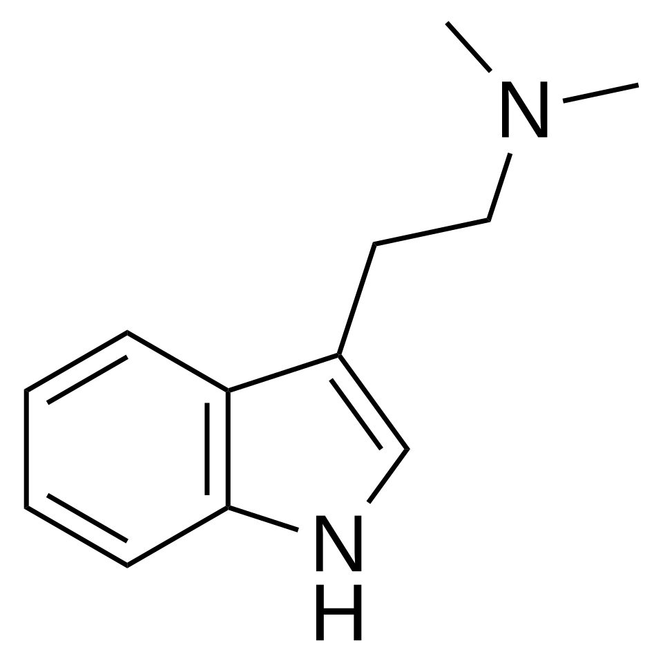 Molecular structure of DMT (N,N-Dimethyltryptamine)