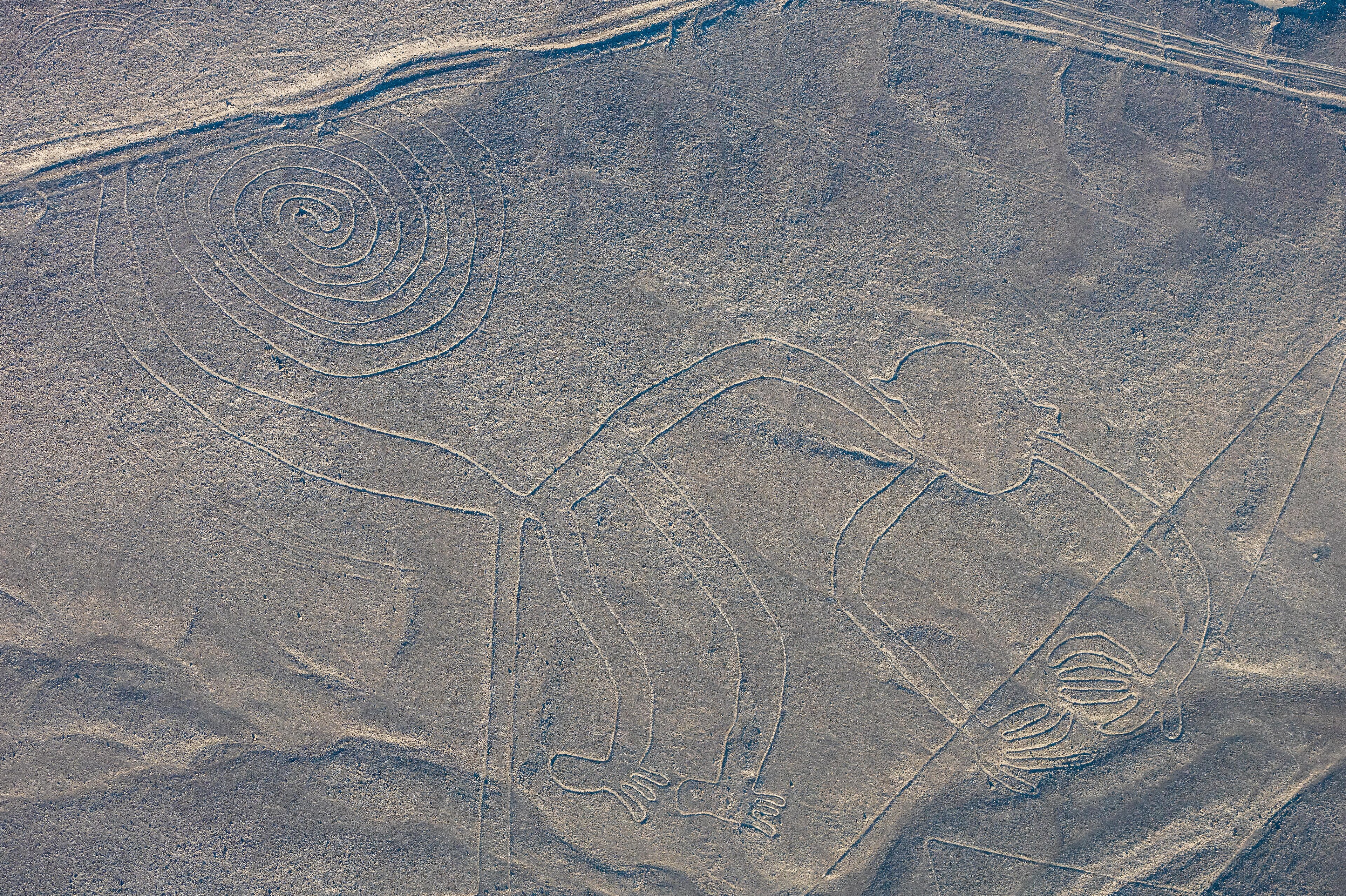 Nazca Lines, aerial view showing the Hummingbird geoglyph, Peru